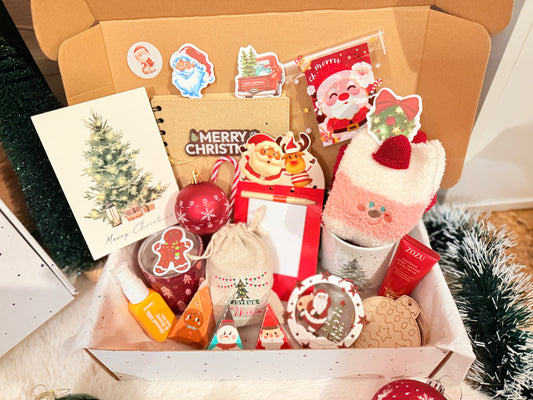🌲BOX NOËL 2025 🌲