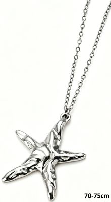 Collier étoile argenté  🌟