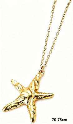 Collier étoile doré 🌟